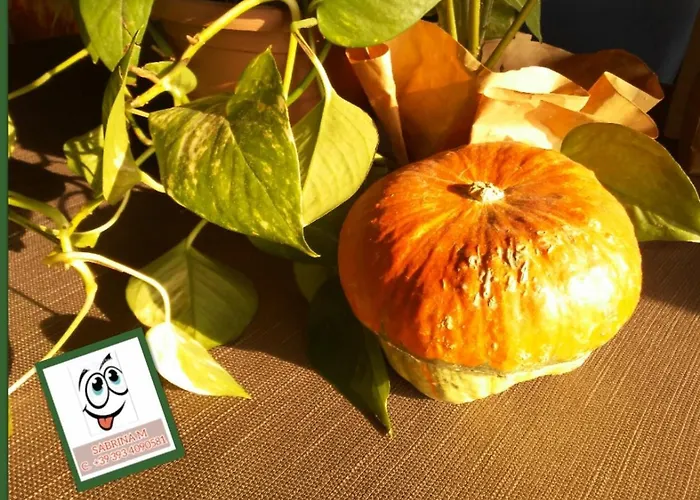 Monolocale شقة باردولينو